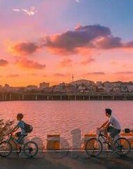 大象传媒app无限观影-探索大象传媒APP，无限观影的奇妙之旅