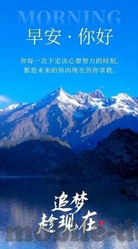 大象肚子爆炸视频-震撼与反思，大象肚子爆炸视频背后的生态警钟