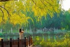 国产福利一区二区精品-国产精品，匠心独运的影视艺术殿堂