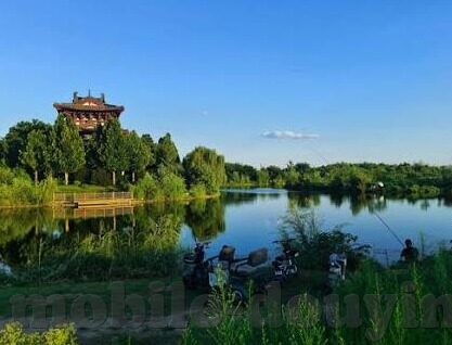 乱伦伦理片-伦理边界的模糊地带，乱伦题材影视的反思与探讨