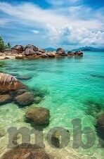 人妻精品中文-品味生活之韵，人妻精品中文的温婉魅力