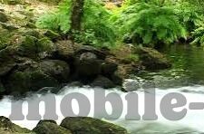 日韩av网站在线播放-探索成人娱乐内容的边界，日韩AV网站在线播放的多元视角
