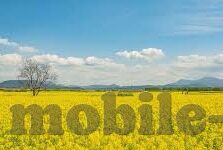 糖心app房贷计算器-探索糖心APP房贷计算器，简化房贷了解，实现精准财务规划