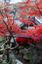 糖心app下载官方入口-探索应用下载新旅程，糖心APP官方入口的奥秘