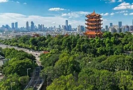 糖心app直播平台下载-揭秘糖心APP，直播平台的隐藏魅力与使用指南
